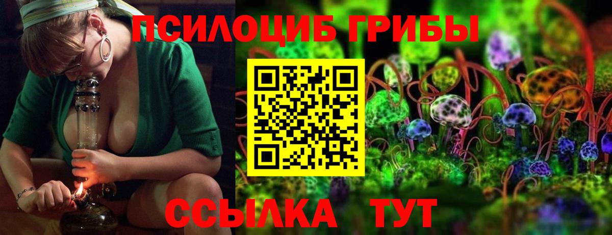Котельники  Псилоцибиновые грибы Psilocybe  Вход с VPN 