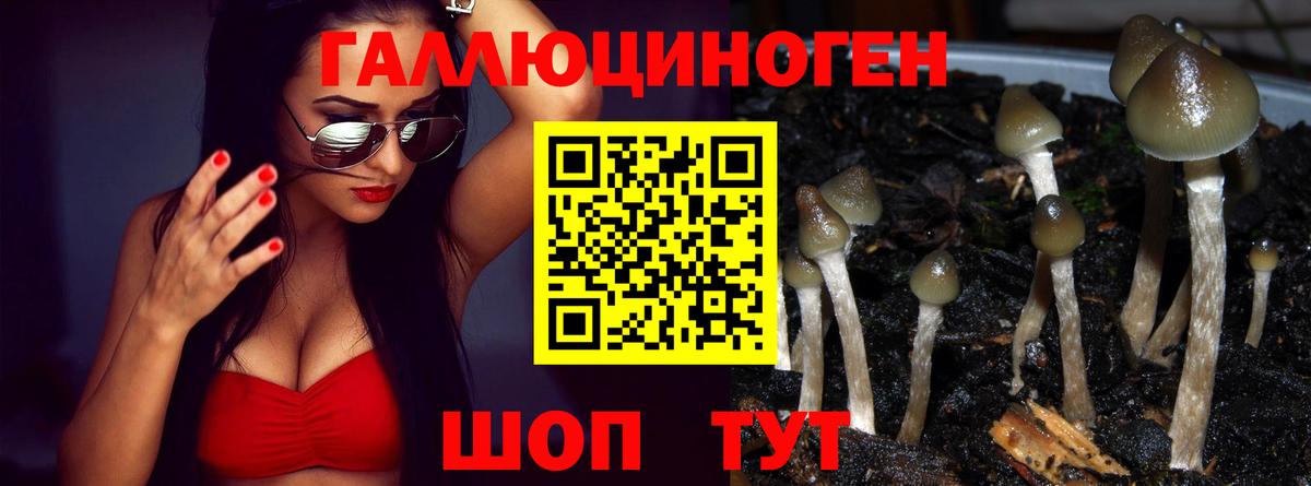 Псилоцибиновые грибы Magic Shrooms Котельники